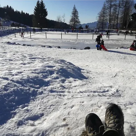Bellissimo Bilocale Sky Paradise Mt.1400 Monte Pora Lejlighed Malga Alta
