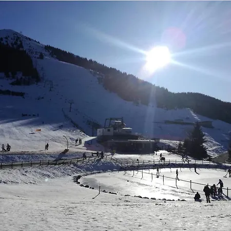 Lejlighed Bellissimo Bilocale Sky Paradise Mt.1400 Monte Pora Malga Alta